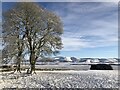NT2149 : Cloich in the snow by Richard Webb