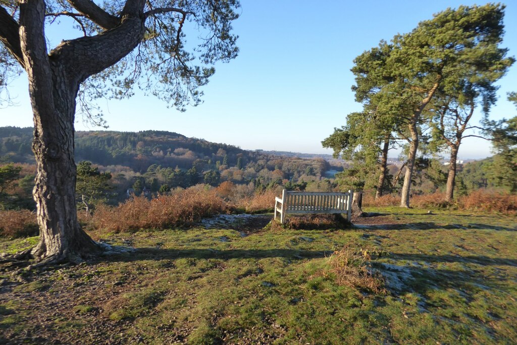 The Lickey Hills Philip Halling Cc By Sa 2 0 Geograph Britain And   7663558 A222cfa1 1024x1024 