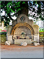 SD6178 : Drinking Fountain in Queen's Square by David Dixon