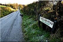 H3974 : Tarlum Road, Mullagharn by Kenneth  Allen