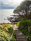 SW7011 : Steps down to the coastal path by John Lucas