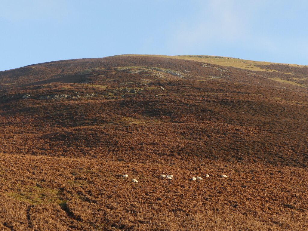 white-meldon-richard-webb-cc-by-sa-2-0-geograph-britain-and-ireland