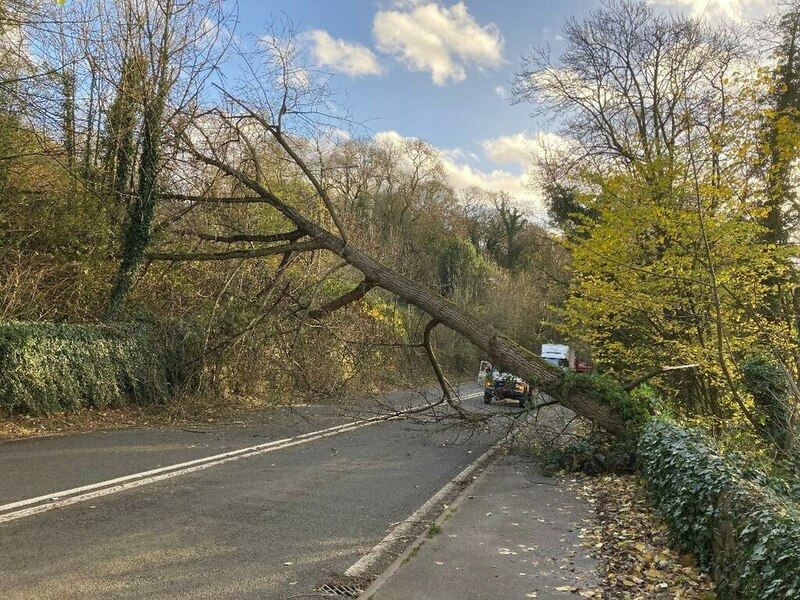 Fallen Tree on the A6 Road © Jonathan Clitheroe cc-by-sa/2.0 ...