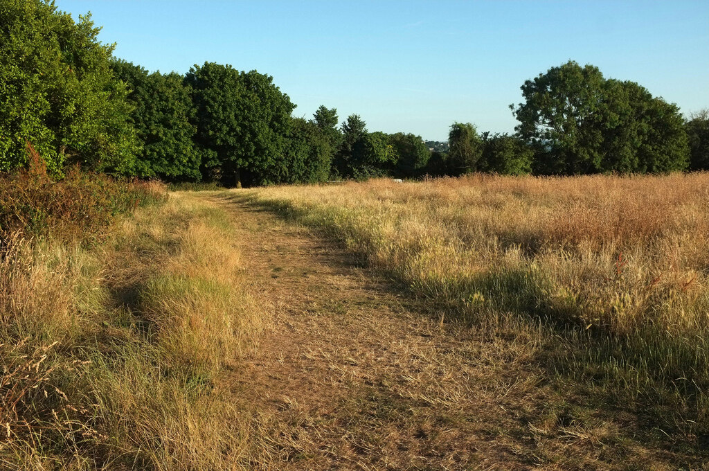 Path Around Field Near Watcombe © Derek Harper Cc-by-sa/2.0 :: Geograph ...