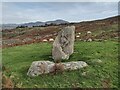 SH5461 : Parc-y-Gleision Standing Stone by Chris Andrews