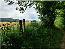SO4586 : Path along the edge of Affcot Coppice by Mat Fascione