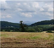 SO4586 : Hope Dale viewed from Wenlock Edge by Mat Fascione