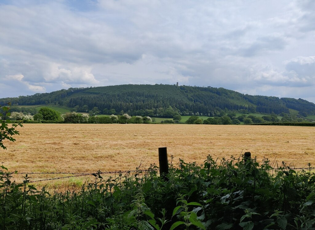 Callow Hill viewed from Wenlock Edge © Mat Fascione cc-by-sa/2.0 ...