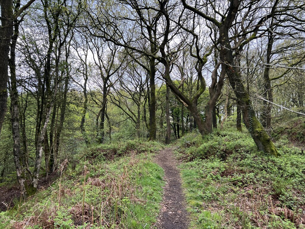 Path through Hawksmoor NT © Jonathan Hutchins ccbysa/2.0 Geograph