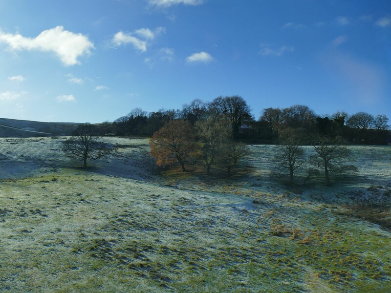 Trees below Dyneley Hall © Stephen Craven cc-by-sa/2.0 :: Geograph ...