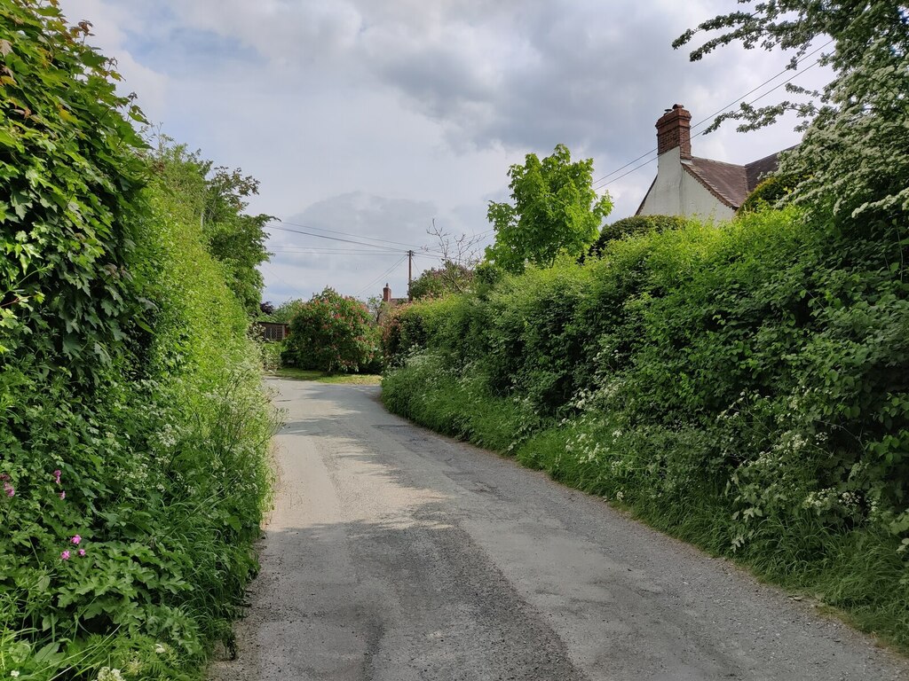 lane-at-lower-dinchope-mat-fascione-cc-by-sa-2-0-geograph-britain