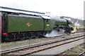 SO8555 : Flying Scotsman by Philip Halling