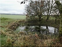 SE8088 : A tiny pond by Haugh Rigg Road by David Brown