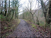 SS8091 : Llwybr beicio Bryn Goetre / Bryn Goetre cycle path by Alan Richards