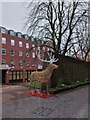 SX9292 : Christmas stag decoration, Exeter city wall by David Smith