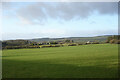 Fields at Lanfine Home Farm