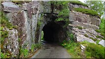 W0167 : Rock tunnel on minor road below Gortacreenteen, south of Kilgarvan by Colin Park