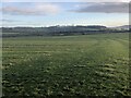 NT9907 : Ridge and furrowed field, Netherton by Richard Webb