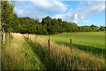 SU6985 : Pasture and woodland, Highmoor by Andrew Smith