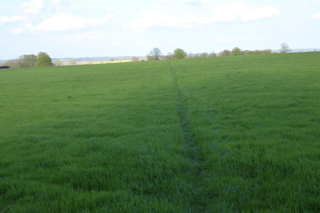 footpath-crossing-a-field-philip-halling-cc-by-sa-2-0-geograph