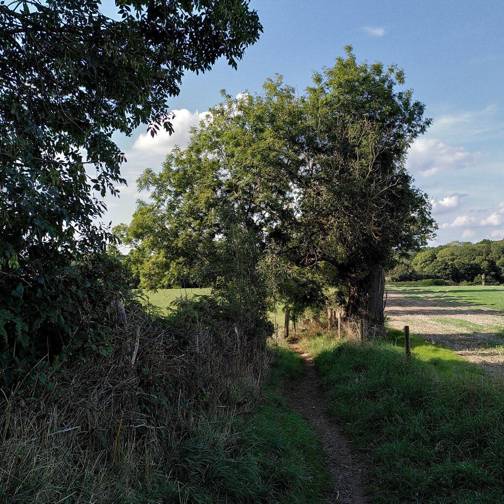 looking-down-the-path-from-roughknowles-a-j-paxton-cc-by-sa-2-0