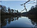 TQ1929 : Birchenbridge Pond by Simon Carey