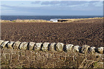 NU2329 : Field on Red Brae by Stephen McKay