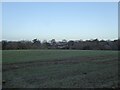 Hilly Field/Six Acres