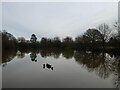 Pond near Holme Farm