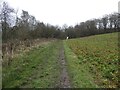 A field corner in a winter rain shower