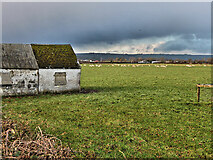 S6962 : Ruin and Field by kevin higgins