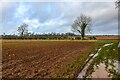 ST7883 : Hawkesbury : Little Badminton - Field by Lewis Clarke