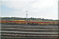 Eastleigh sidings