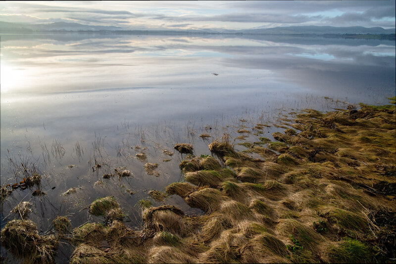 Shoreline Of The Beauly Firth By © Julian Paren Cc-by-sa 2.0 