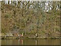 SE1134 : Boxing Day swim in Chellow Dene upper reservoir by Stephen Craven
