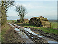 TQ0612 : Timber stacks by a wet and muddy South Downs Way by Robin Webster