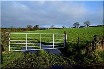 H5366 : Muddy entrance to field, Laragh by Kenneth  Allen