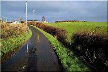 H5366 : Bend along Laragh Road by Kenneth  Allen
