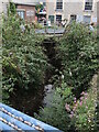 The river Lim weaving through the town mill