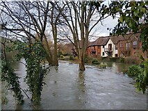SU4667 : River Kennet flooding, Newbury by Oscar Taylor