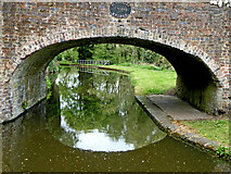 SO8480 : Canal at Austcliff Bridge near Caunsall in Worcestershire by Roger  D Kidd