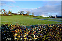 H5064 : Bare hedge, Moylagh by Kenneth  Allen