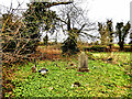 S4938 : Old Graveyard by kevin higgins