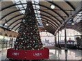 NZ2463 : Christmas Tree, Newcastle Central Station by Geoff Holland
