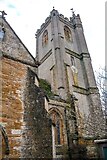 ST4916 : Montacute : St Catherine's Church by Lewis Clarke