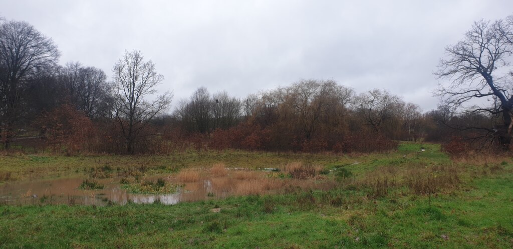 Wetlands In Oakwood Park London N14 © Christine Matthews Cc By Sa20 Geograph Britain And 