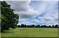 SO7684 : Grassland on the edge of Alveley village by Mat Fascione