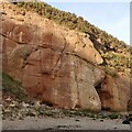 NT7871 : Sandstone crag, Cove Harbour by Richard Webb