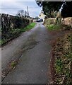 ST5595 : Up a dead-end side road, Tidenham, Gloucestershire by Jaggery