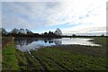 SE6654 : Flooded field beside Holtby Lane by DS Pugh